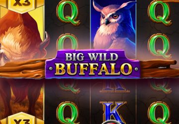 Слот Big Wild Buffalo в 1xBet казино