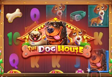 Слот The Dog House в 1xBet казино